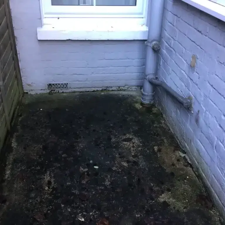 Damp Treatment Tunbridge Wells